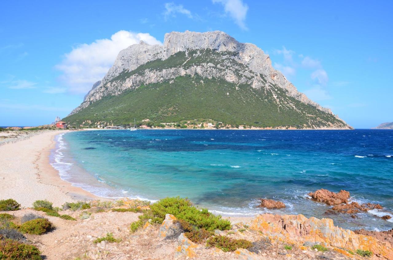 Hotel Dp Olbia - Sardinia Dış mekan fotoğraf